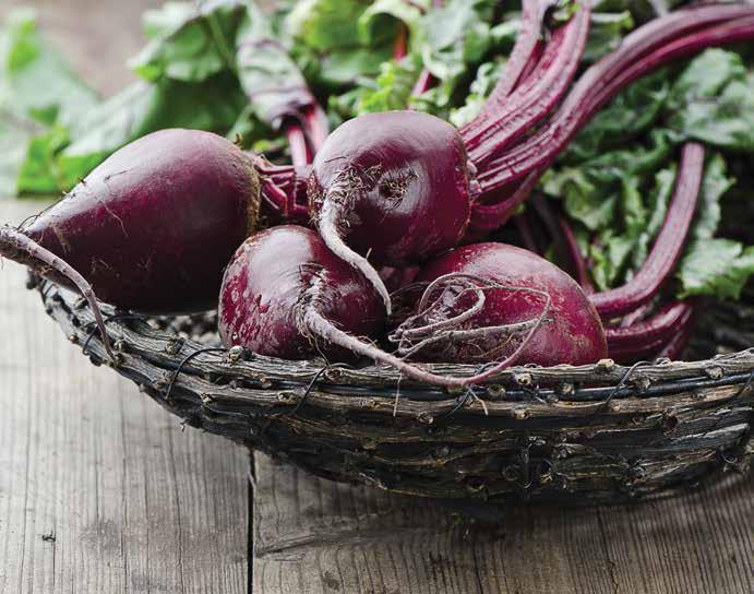 Move to the Beet of Nitric Oxide Often, the smallest, simplest molecules have the greatest importance. Nitric oxide (NO) is made up of one atom of nitrogen and one atom of oxygen.