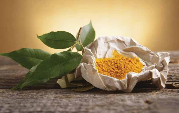 Curcumin: Cellular Protector and Performance Booster Curcumin is widely used and well recognized as a highly valued component of the turmeric root.