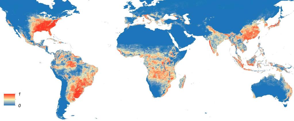 World Wide Distribution of Aedes aegypti