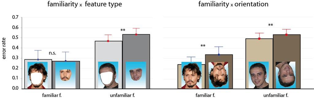 Facial Features and Face Familiarity Recognition of familiar faces relies on spatial relations among features, particularly internal features.