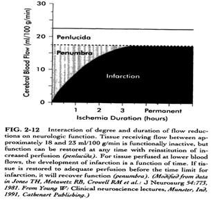 The CBF Effects Depend on Background* Patel PM and Drummond JC in Miller s Anesthesia, 6 th Ed; p.