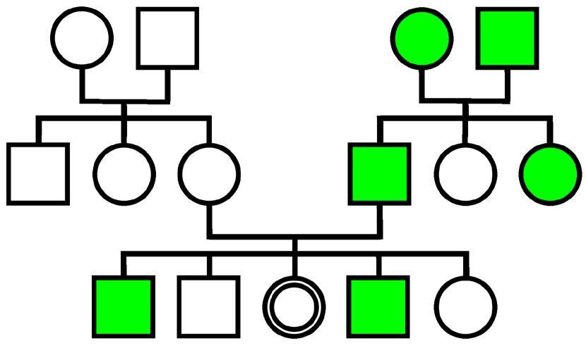 Family members with alcohol misuse are indicated in green.