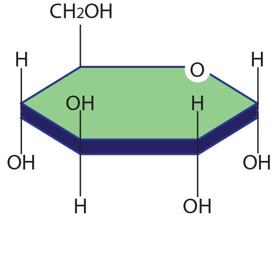 Biomolecule: Carbohydrate This biomolecule is composed of three basic elements (carbon, hydrogen, and oxygen) in a 1:2:1 ratio. The most basic carbohydrates are simple sugars, or monosaccharides.