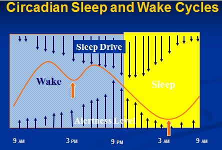 Fatigue and Impairment 13 Typically performance errors greatest between 2-5am