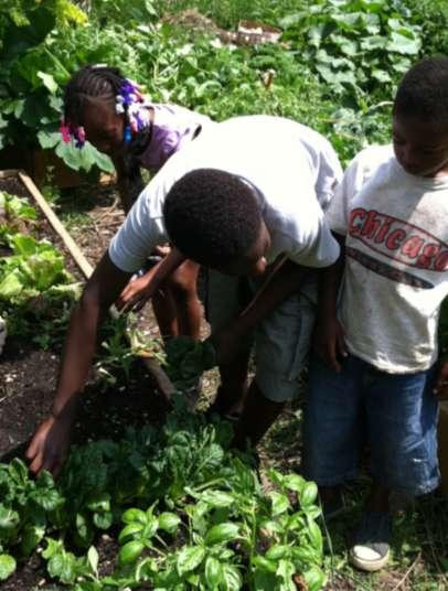 Appetite For Growing Garden Small community garden in North Purpose: To raise awareness in the