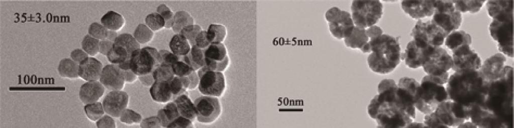 Fig S4 TEM images of the Fe 3 O 4 NPs fabricated with different amount of ethylenediamine: