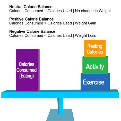 ENERGY BALANCE Energy balance refers to the relationship between energy intake (food consumption) and energy output (basal metabolism and physical activity). 1.