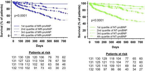Comparison of Midregional Pro-ANP With N-Terminal Pro-BNP in Predicting Survival in