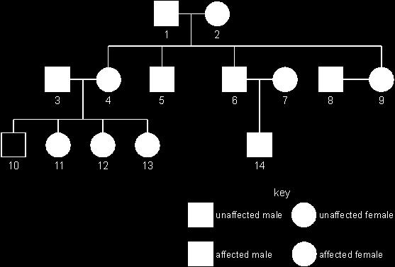 Q8. The diagram shows a family tree in which some members of the family had a hereditary disease. The disease is caused by a dominant allele.