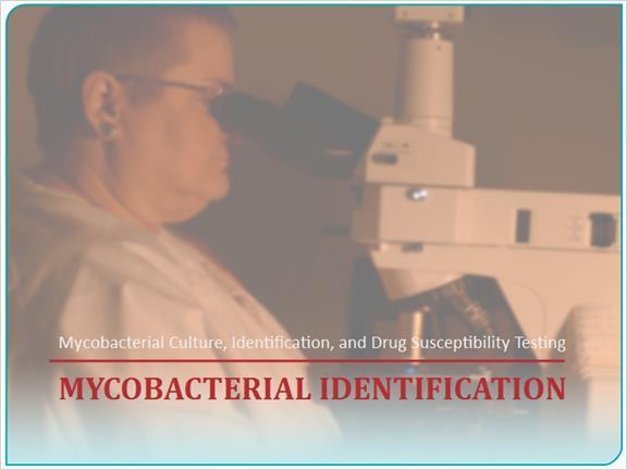 4. Mycobacterial