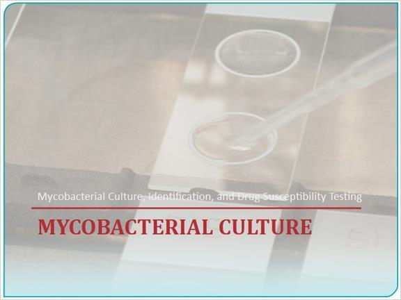 3. Mycobacterial Culture The overview,