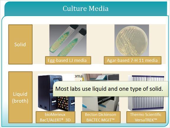 3.3 Culture Media The current recommendations offer labs to use one liquid and one solid media per specimen. Solid media can be either egg-based or auger-based.