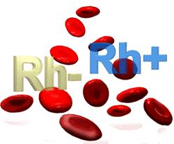 The Rh Factor The Rh factor is an antigen found on the red blood cells of most