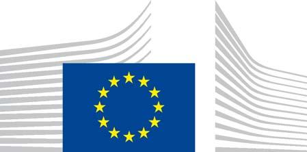 EUROPEAN COMMISSION Directorate-General for Internal Market, Industry, Entrepreneurship and SME's Resources Based, Manufacturing and Consumer Goods Industries Chemicals