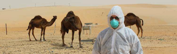 The Middle East Respiratory Syndrome Coronavirus (MERS-CoV) First case: June 2012, KSA As of Nov 2014,
