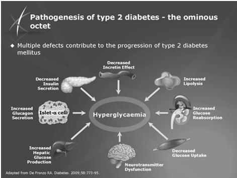 pathogenesis of Diabetes 2 Understand how each medication functions in addressing hyperglycemia Pathogenesis of