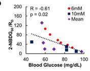 of 2-NBDG delivery, (RD) correlates with blood