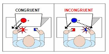 25 Figure 4. Sample congruent and incongruent trial from the Simon task (van den Wildenberg, Wylie, Forstmann, Burle, Hasbroucq, & Ridderinkhof, 2010). trials that were not analyzed.