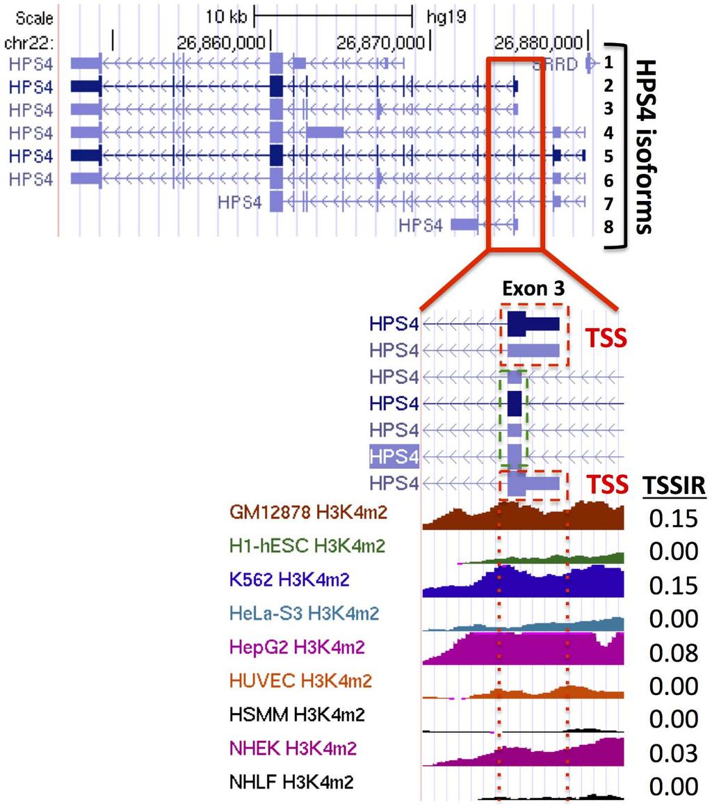 Figure 3. Differential H3K4me2 enrichment near exon 3 of HPS4. The HPS4 gene produces up to 8 isoforms.