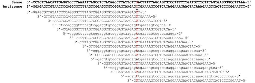 Whole-exome sequencing Obtain the DNA sequence for the entire
