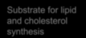 and cholesterol