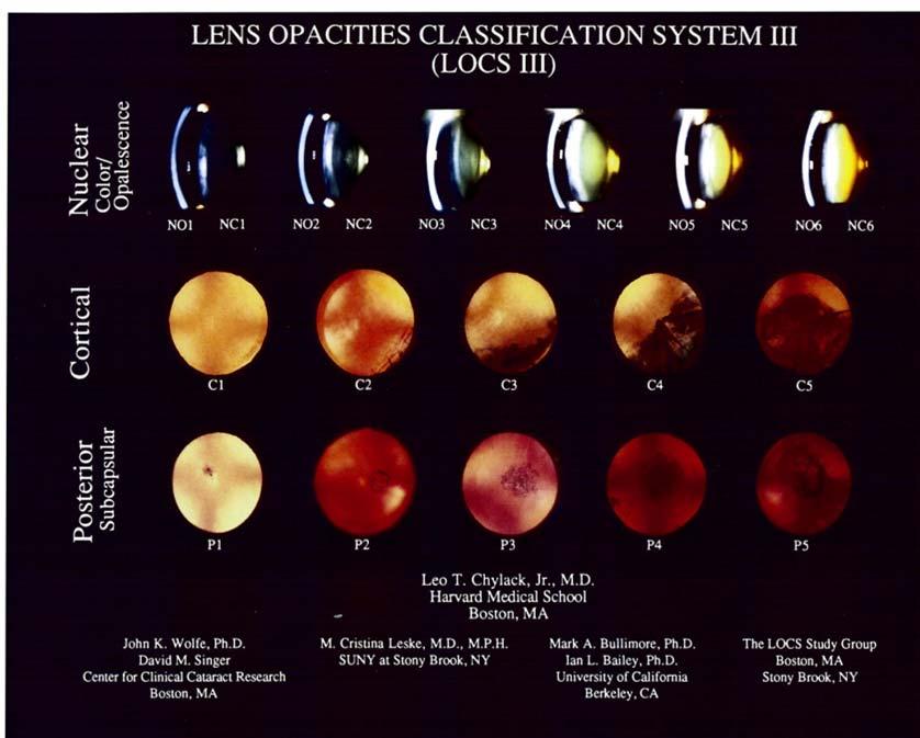 O CLOC Collected data part 3 Ophthalmologic examinations (for all
