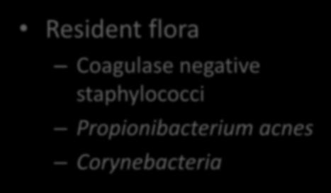 SKIN FLORA Resident flora Coagulase negative