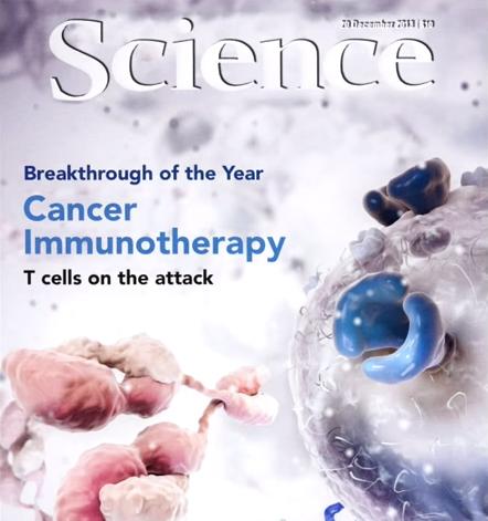 Immunotherapy: immune checkpoint blockers and chimeric