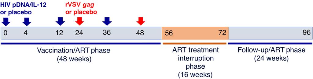 Post treatment control is common depending on definition and duration of follow up Restart ART before 16 weeks if VL > 50,000 copies/ml x 4 weeks >30% decline CD4 count CD4 < 350/mm 3 Acute
