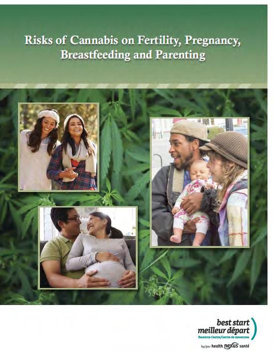 Cannabis Pregnant girls and women may not know that cannabis can