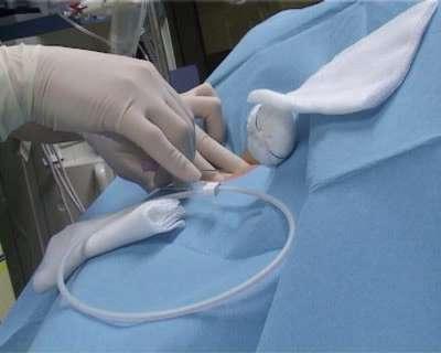 arterial line - urine catheter - nasal and rectal temperature Operating