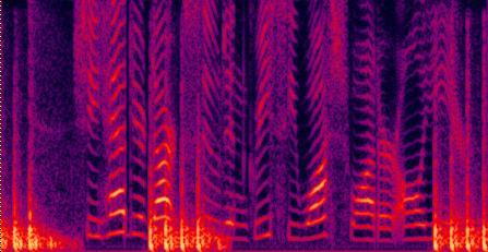 Enhanced Experimental Results: III Spectrograms of an utterance