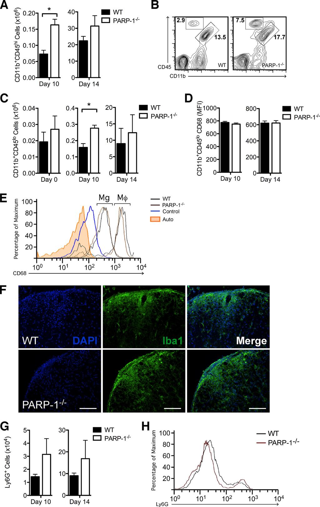 PARP-1 and Multiple Sclerosis with Day 0 controls (Fig. 9C), suggesting a previously unknown role for PARP-3 in EAE.
