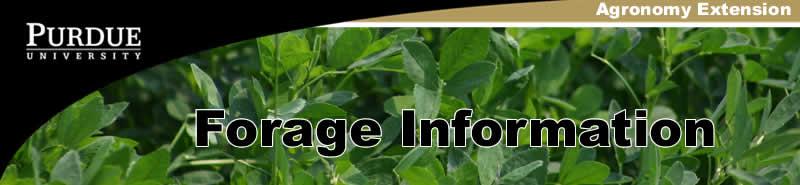 Department of Agronomy > Agronomy Extension Home Forage Issues Pasture Info Forage ID Publications Hoos-Your Grazing Network Forage Links Variety Trials Selecting Quality Hay for Horses ID-190 Mark A.