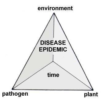 Disease Pyramid 1. Plant susceptible variety 2. Pathogen influenced by field history, location, etc. 3.