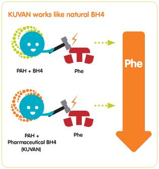 Treatment and Diet Overview While KUVAN works for many, not every person with PKU is responsive to this form of treatment. This means KUVAN may not lower Phe levels for some people with PKU.