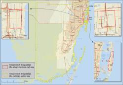 Brownsville, Texas CDC lifted the yellow area designation for Brownsville, Texas on