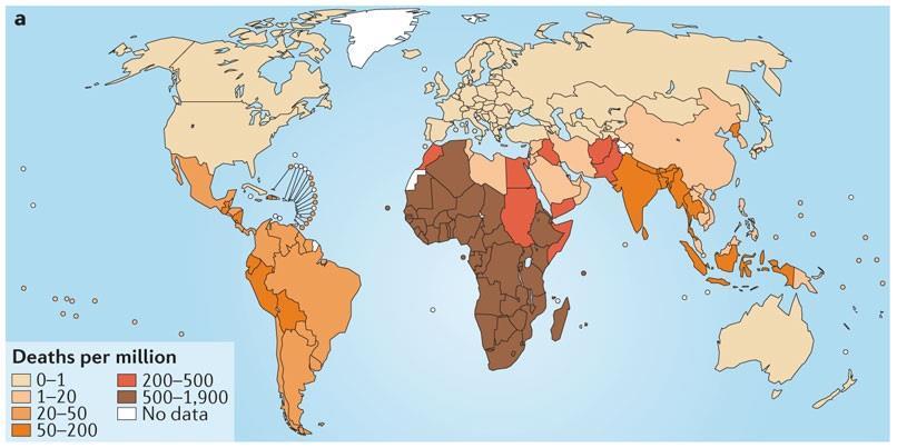 Deaths From Vector-Borne Diseases Vector-Borne Diseases Affecting Public Health Around the World Malaria Dengue fever Chikungunya Zika Relapsing fever Japanese encephalitis Yellow fever Rift Valley
