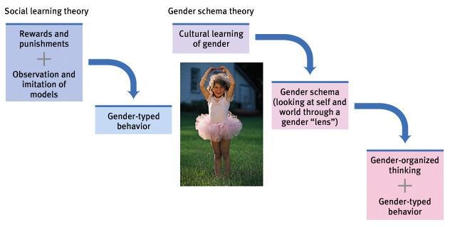 The Nature and Nurture of Gender