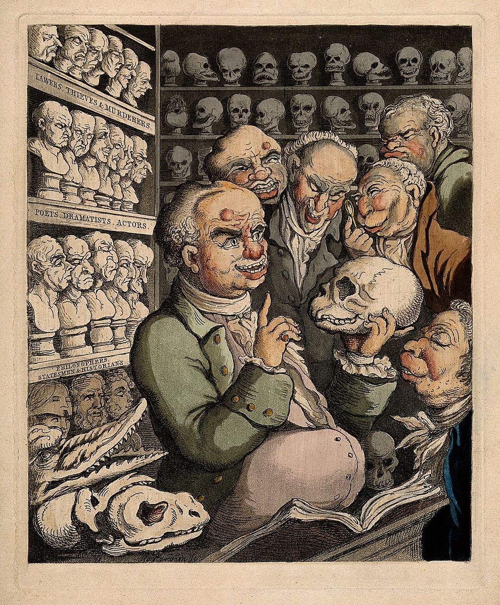 activities Franz Gall and Phrenology Around 1800 Gall proposed a way to correlate mind and brain Divide the mind into mental faculties Capabilities that some people are better and some are worse at