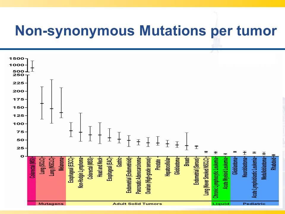 Cancers with high mutation rate [TITLE] Immunotherapy Checkpoint inhibitors