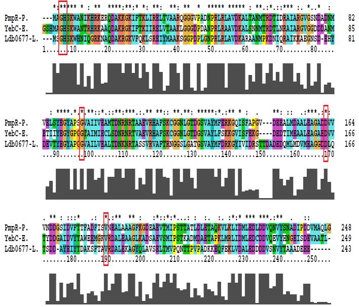 Potential regulatory targets of Ldb0677 Gene Protein Description Predicted binding site Typ e b Ldb0677 A novel transcriptional regulator Bacteria one-hybrid was used to target gene of Ldb0677 rmld