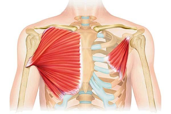 Scapular Slide Test Causes of Anterior Shoulder Pain Long