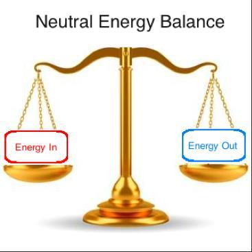 Energy balance If a person maintains a healthy