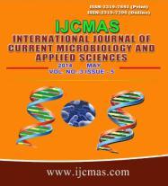 Int.J.Curr.Microbiol.App.Sci (14) 3(5): 138-144 International Journal of Current Microbiology and Applied Sciences ISSN: 2319-776 Volume 3 Number 5 (14) pp. 138-144 http://www.ijcmas.