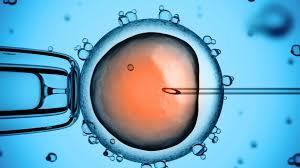 IVF seems an appropriate treatment option for PCOS patients.