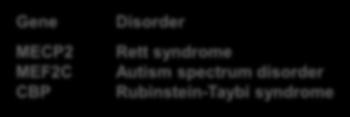 Phelan-McDermid syndrome Autism spectrum disorder Autism