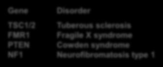 Disorder TSC1/2 Tuberous sclerosis FMR1 Fragile X syndrome