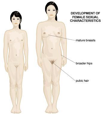 Female Secondary Sex Characteristics From the age of 8 to 12, there is a gradual rise in the level of hormones in the female s body.