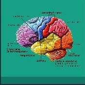 Midbrain Activation A look at our presentation agenda